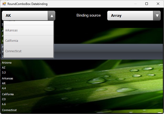 RoundComboBox preview